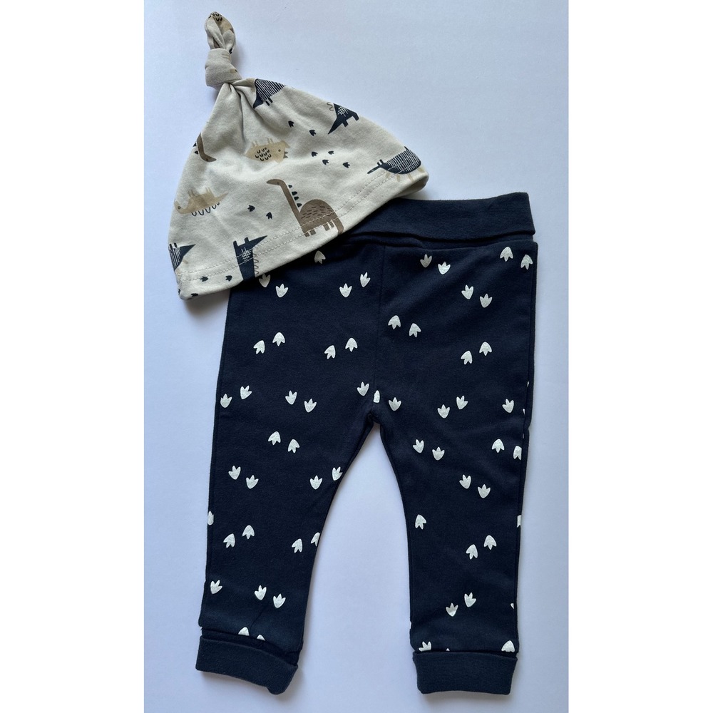 Petit Lem's Mini Threads‎ Baby Dinosaur Print 2pc Organic Cotton Set Size 9mo